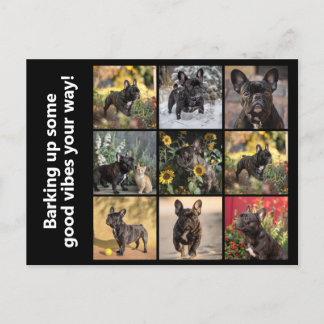 Carte Postale Possédez 9 x images + texte