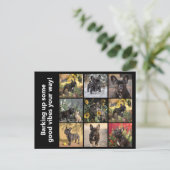 Carte Postale Possédez 9 x images + texte (Debout devant)