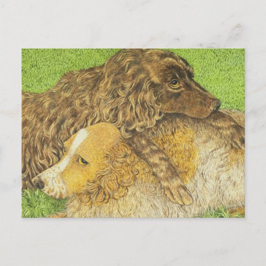 Carte Postale Possession (Devant)