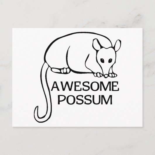 Carte Postale Possum génial (Devant)