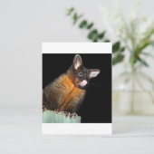 Carte Postale Possum la nuit (Debout devant)