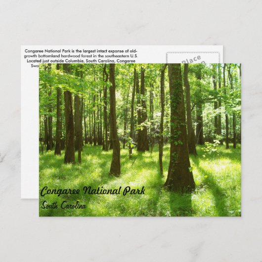 Carte Postale Post Card (Devant / Derrière)