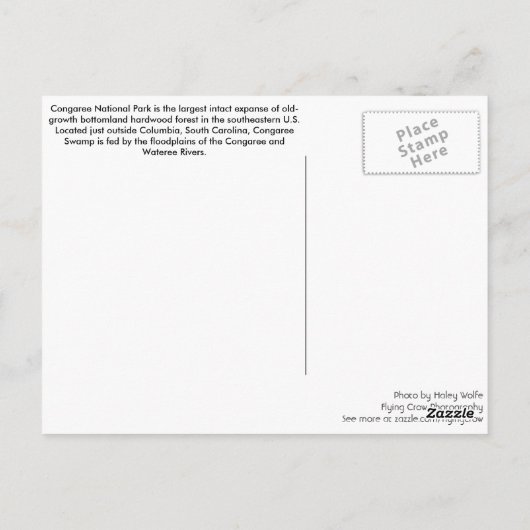 Carte Postale Post Card (Dos)