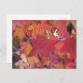 Carte Postale Post Card - Fall Leaves (Devant / Derrière)