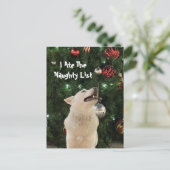 Carte Postale Post-croisement - Crystal's Naughty List Noël (Debout devant)