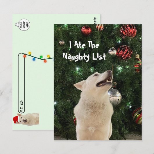 Carte Postale Post-croisement - Crystal's Naughty List Noël (Devant / Derrière)