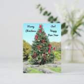 Carte Postale Post-croisement - Florida Gator Christmas Tree (Debout devant)