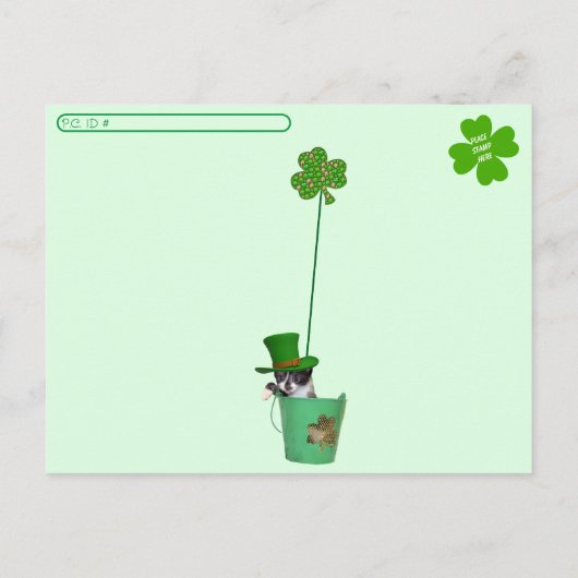 Carte Postale Post-croisement - Foxi Moxi Cat's St. Patrick's Da (Dos)