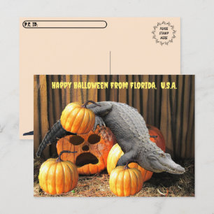 Carte Postale Post-croisement - Halloween Citrouilles et Gator