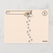 Carte Postale Post-croisement - Taz The Adorable Ginger Tabby -  (Dos)