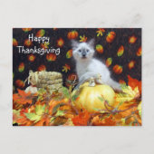 Carte Postale Post-croisement - Thanksgiving de Savannah Siamese (Devant)