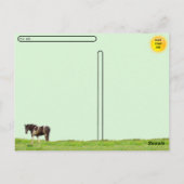 Carte Postale Post-franchissement - Cheval peint américain dans  (Dos)