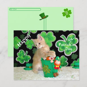 Carte Postale Post-traversée Buffington Le chat St. Patrick's Da