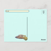 Carte Postale Post-traversée Floride Manatee et bébé avec boîte (Dos)