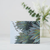 Carte Postale Postal Agave Mexico Souvenir (Debout devant)