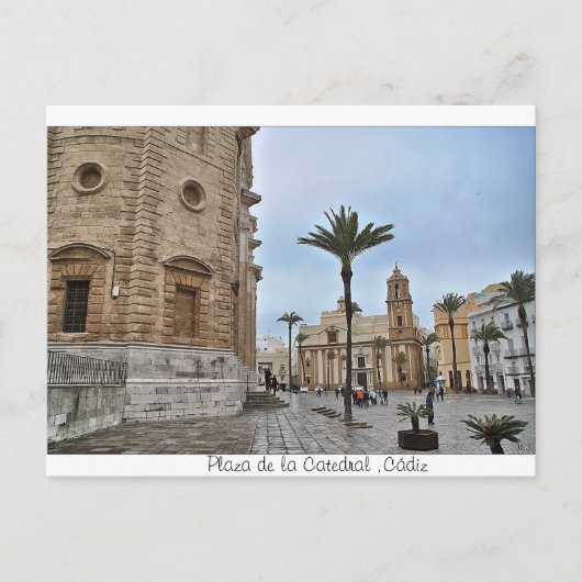 Carte Postale Postal de Plaza de la Catedral, Cádiz (Devant)