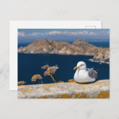 Carte Postale Postal gaviota en las Islas Cíes (Devant / Derrière)