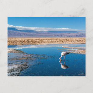 Carte Postale Postal, Lago en San Pedro de Atacama, Chili