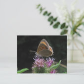 Carte Postale Postal mariposa (Debout devant)
