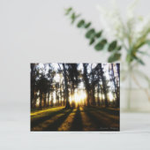 Carte Postale Postales Uruguay (Debout devant)