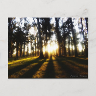 Carte Postale Postales Uruguay