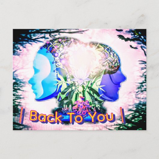 Carte Postale Postcard (Devant)