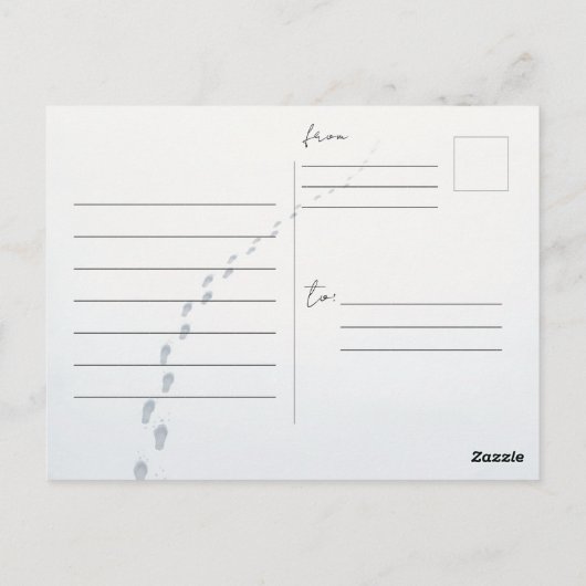 Carte Postale Postcard (Dos)