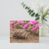 Carte Postale Postcard (Debout devant)