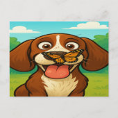 Carte Postale Postcard (Devant)