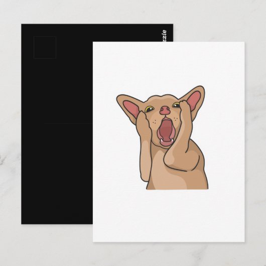 Carte Postale Postcard (Devant / Derrière)