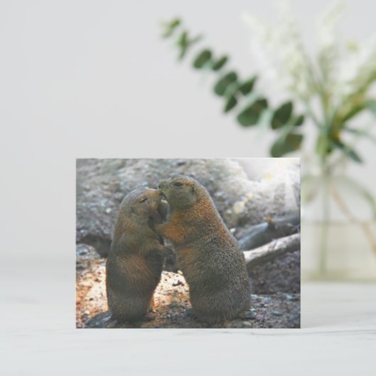 Carte Postale Postcard (Debout devant)