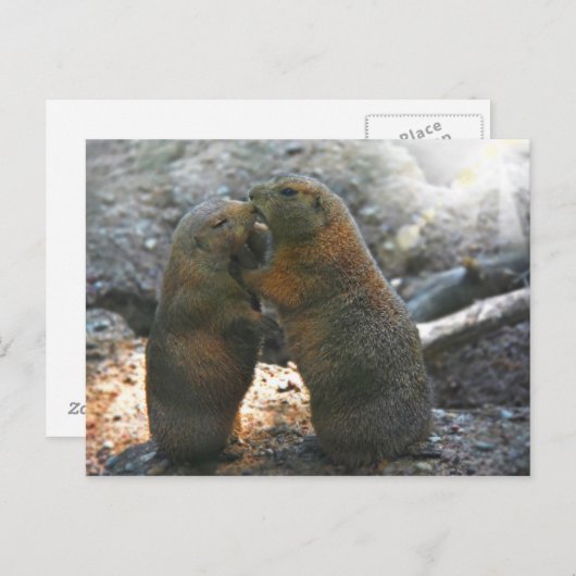 Carte Postale Postcard (Devant / Derrière)