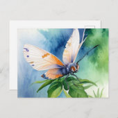 Carte Postale Postcard (Devant / Derrière)