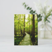 Carte Postale Postcard - Forest Path (Debout devant)