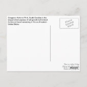 Carte Postale Postcard - Forest Path (Dos)