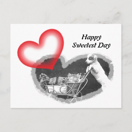 Carte Postale Postcard Furry Happy Sweetest Day Hearts Pet PC (Devant)