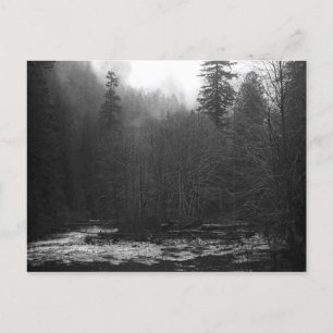 Carte Postale Postcard - Misty Salmon River, Oregon