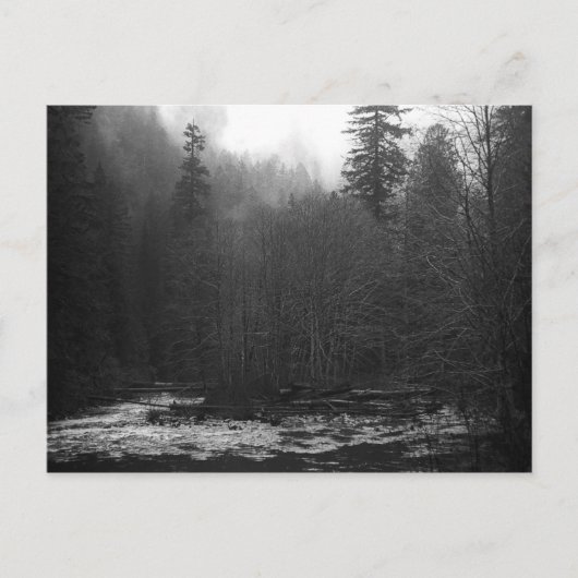 Carte Postale Postcard - Misty Salmon River, Oregon (Devant)