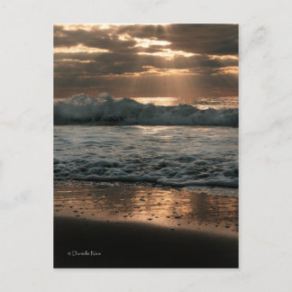 Carte Postale PostCard_splash