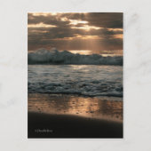 Carte Postale PostCard_splash (Devant)