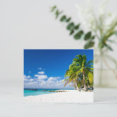 Carte Postale Postcard - Under the Tropical Sun. (Debout devant)