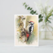 Carte Postale Postcard. Woodpecker (Debout devant)
