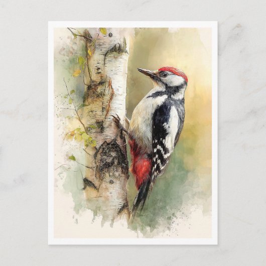Carte Postale Postcard. Woodpecker (Devant)