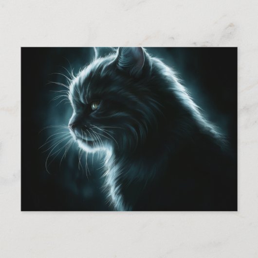 Carte Postale Postcards Cat Série 12 (Devant)