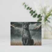 Carte Postale Postcards Divers Série 1 (Debout devant)