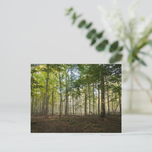 Carte Postale Postcards of Nature Images (Debout devant)