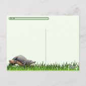 Carte Postale Postcrossing Floride Alligator avec boîte ID (Dos)