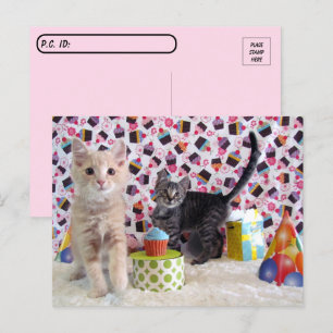 Carte Postale Postcrossing - Journée internationale des chats