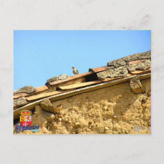 Carte Postale Poste de Tarjeta