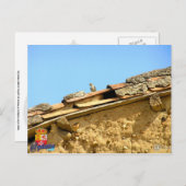 Carte Postale Poste de Tarjeta (Devant / Derrière)